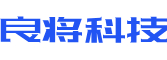 大安市软件开发公司